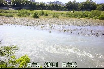 県庁裏 のカメラ画像