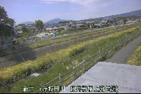細井 のカメラ画像