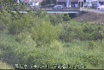 西新波 のカメラ画像