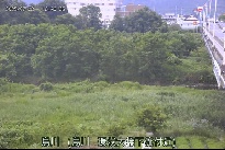 烏川 のカメラ画像