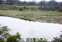 県庁裏 のカメラ画像