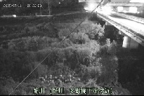 鮎川 のカメラ画像
