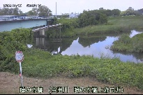 藤の木橋 のカメラ画像