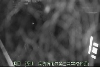 堀口 のカメラ画像
