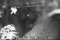 境保泉 のカメラ画像