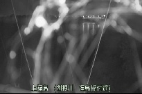 上福島 のカメラ画像