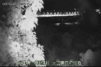 大正橋 のカメラ画像