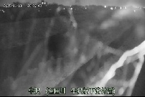 牛沢 のカメラ画像