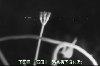 下田島 のカメラ画像