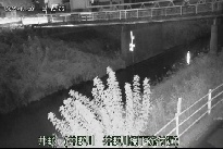 井野 のカメラ画像