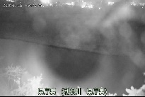 県庁裏 のカメラ画像