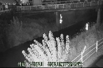 井野 のカメラ画像