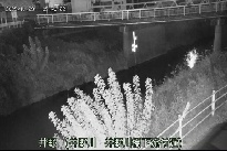 井野 のカメラ画像