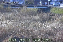 西新波 のカメラ画像