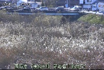 西新波 のカメラ画像