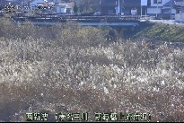 西新波 のカメラ画像