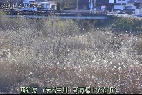 西新波 のカメラ画像