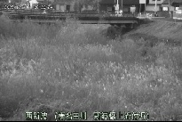 西新波 のカメラ画像