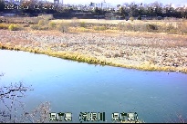 県庁裏 のカメラ画像