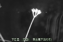 下田島 のカメラ画像