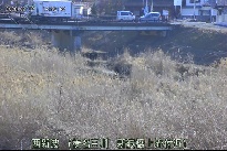 西新波 のカメラ画像