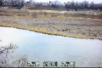 県庁裏 のカメラ画像