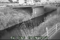 井野 のカメラ画像