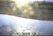 県庁裏 のカメラ画像