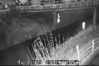 井野 のカメラ画像