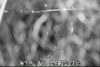 境保泉 のカメラ画像