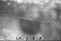 県庁裏 のカメラ画像