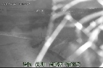 岩崎 のカメラ画像