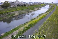 牛沢 のカメラ画像