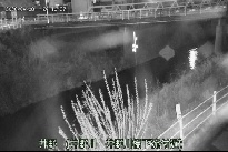 井野 のカメラ画像