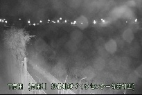 下高田 のカメラ画像