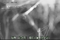 板鼻 のカメラ画像