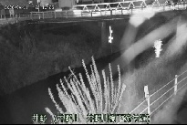 井野 のカメラ画像