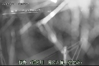 板鼻 のカメラ画像