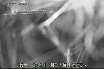 板鼻 のカメラ画像