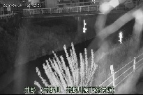 井野 のカメラ画像