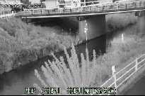 井野 のカメラ画像