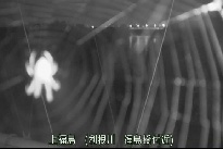 上福島 のカメラ画像