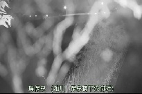 境保泉 のカメラ画像