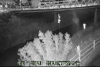 井野 のカメラ画像