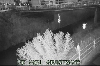 井野 のカメラ画像
