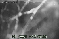 牛沢 のカメラ画像