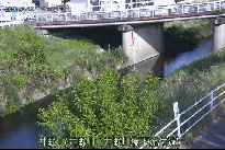 井野 のカメラ画像