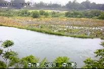 県庁裏 のカメラ画像