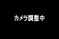 徳川橋 のカメラ画像