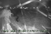 下高田 のカメラ画像